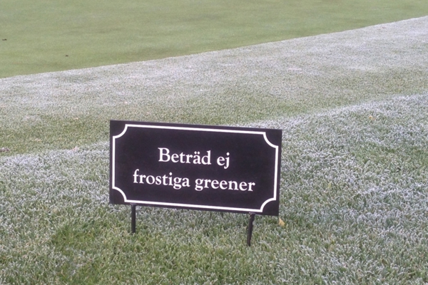 Vid frost