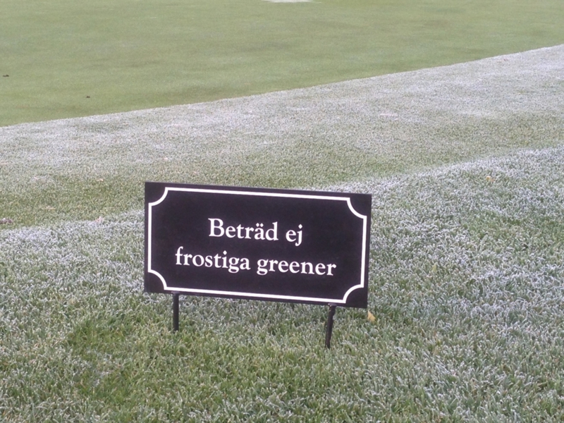 Vid frost